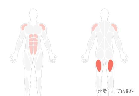 开元棋盘一个能锻炼全身的动作原地爬行简单有效可以练到全身肌肉(图2)