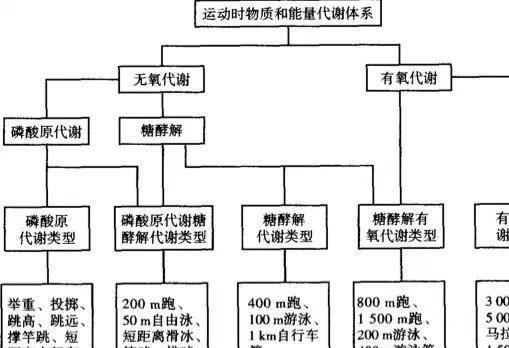 健身须知：如何判断减脂减肥运动的效果？(图2)