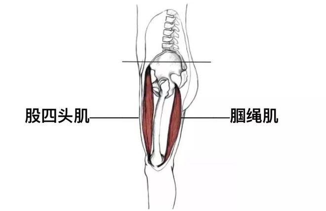 柔韧性在运动中起到什么作用？(图2)