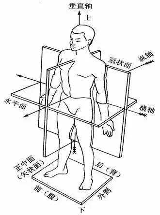 柔韧性在运动中起到什么作用？(图1)