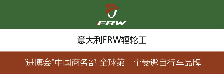 开元棋盘2020进博会全球十大最健身自行车品牌闪耀“四叶草”展馆(图3)