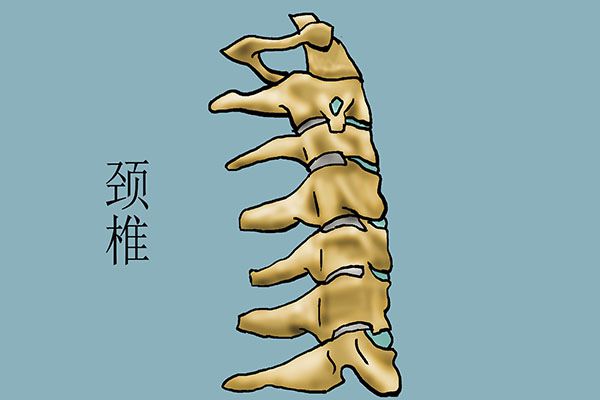 多数人的跑步方式是错的不但会伤膝盖还可能导致瘫痪(图6)