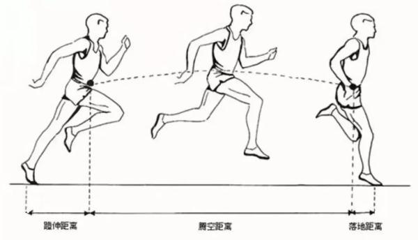 开元棋盘涨知识｜膝盖伤痛竟是它引起的？你有注意运动步幅吗(图1)